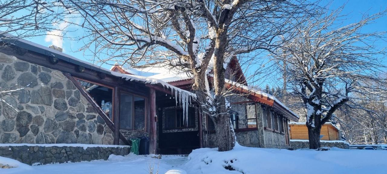Casa Bunicului Villa Vistisoara ภายนอก รูปภาพ