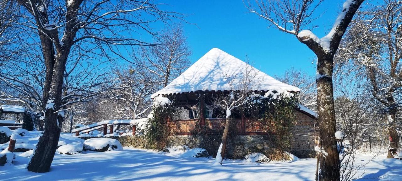 Casa Bunicului Villa Vistisoara ภายนอก รูปภาพ