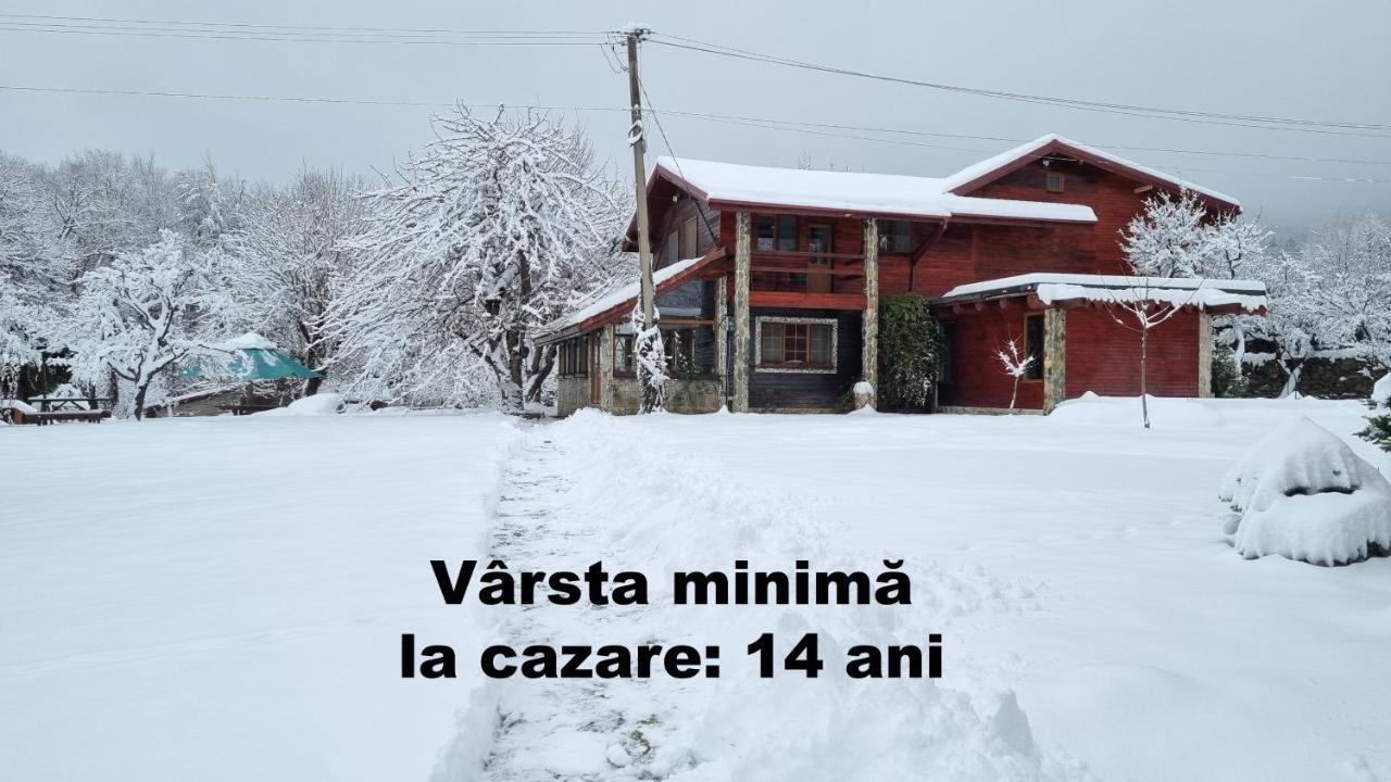 Casa Bunicului Villa Vistisoara ภายนอก รูปภาพ