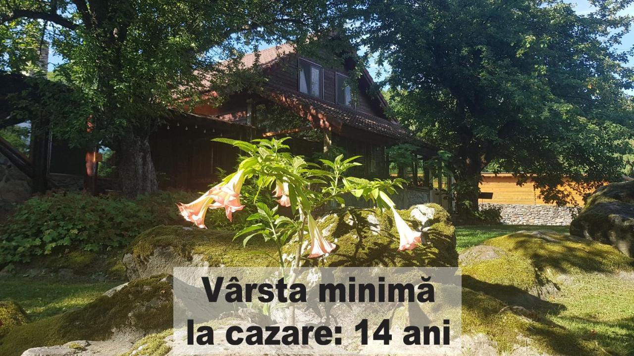 Casa Bunicului Villa Vistisoara ภายนอก รูปภาพ