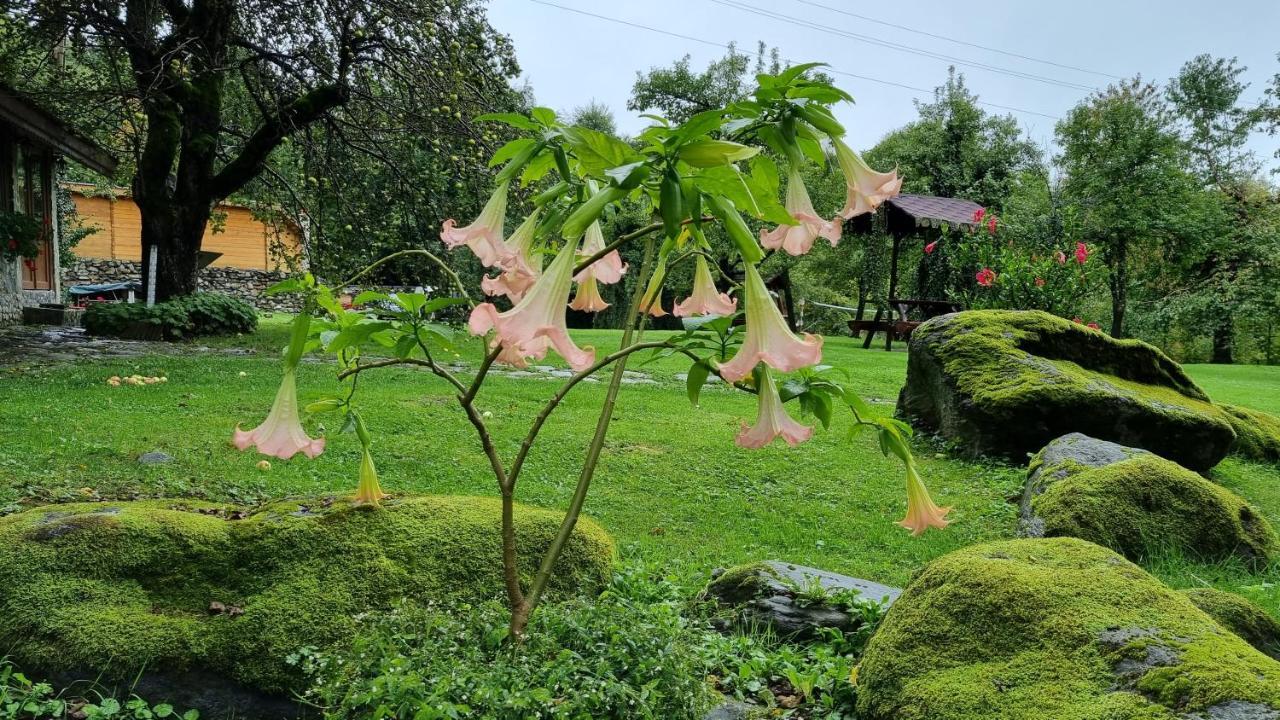 Casa Bunicului Villa Vistisoara ภายนอก รูปภาพ