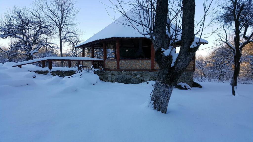 Casa Bunicului Villa Vistisoara ภายนอก รูปภาพ