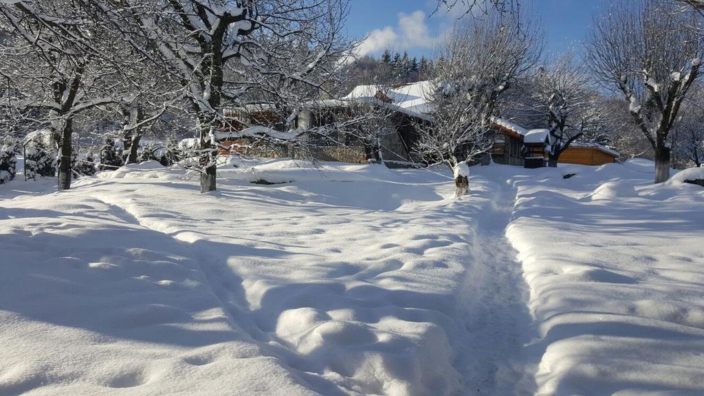 Casa Bunicului Villa Vistisoara ภายนอก รูปภาพ