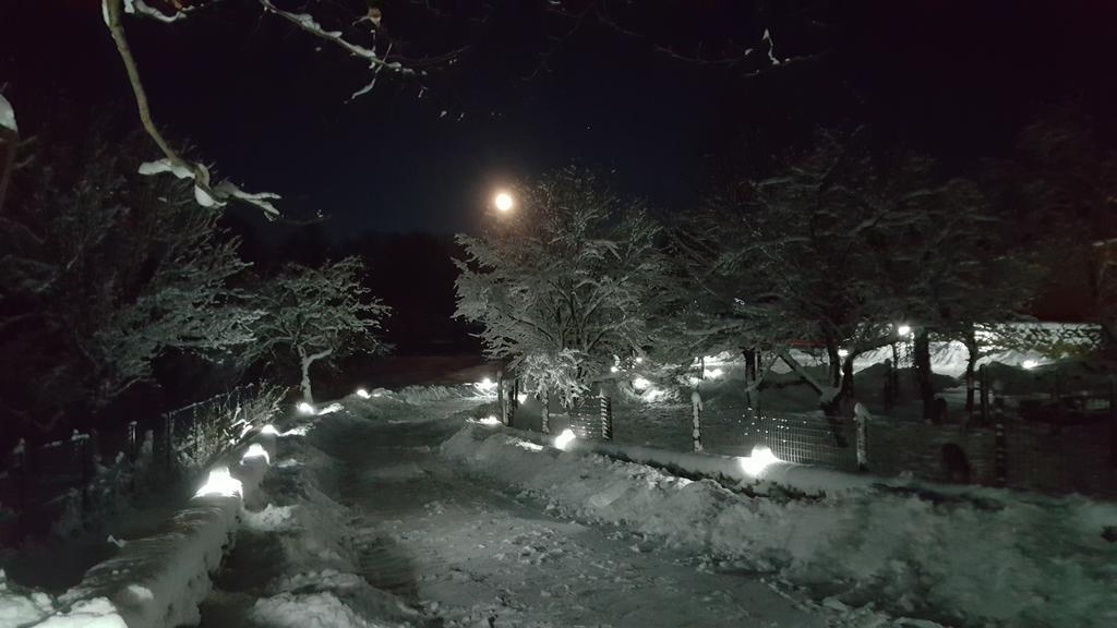 Casa Bunicului Villa Vistisoara ภายนอก รูปภาพ