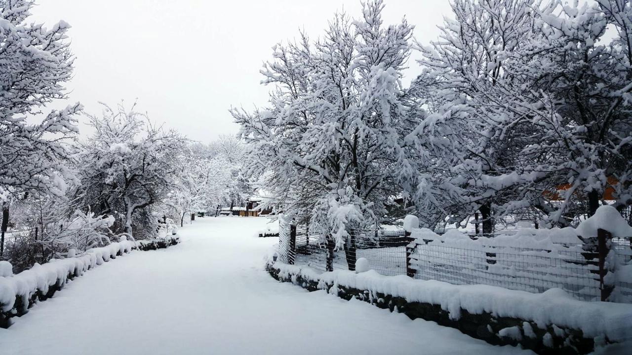Casa Bunicului Villa Vistisoara ภายนอก รูปภาพ
