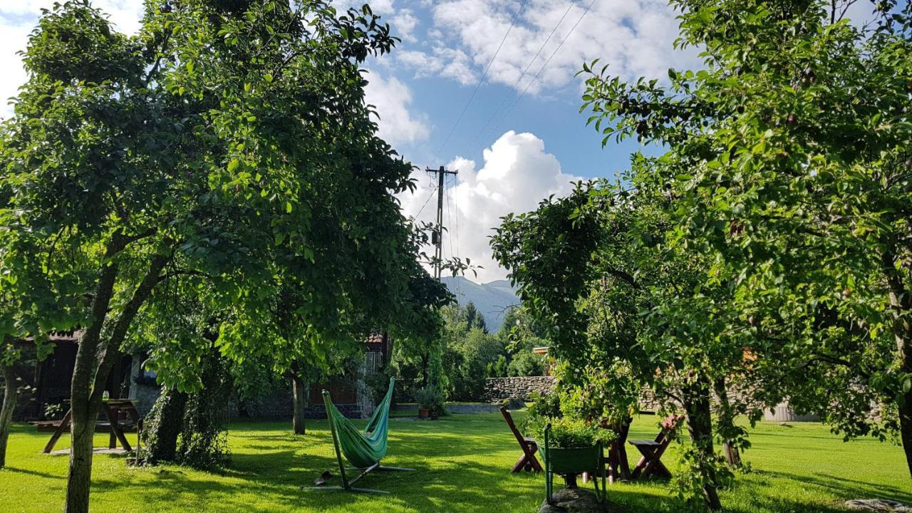 Casa Bunicului Villa Vistisoara ภายนอก รูปภาพ