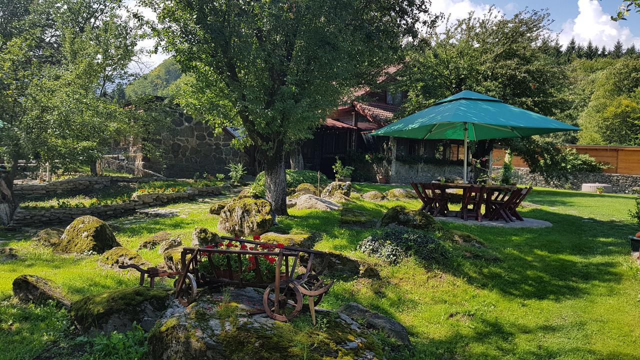 Casa Bunicului Villa Vistisoara ภายนอก รูปภาพ