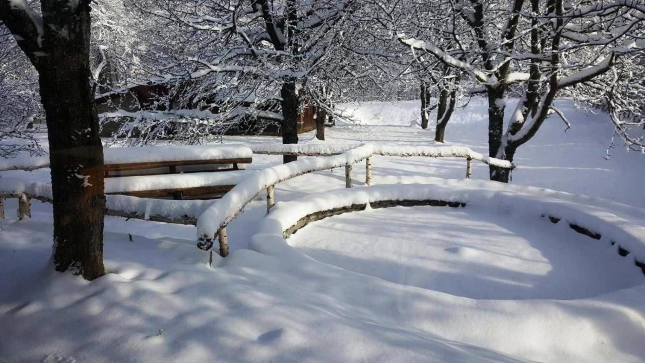Casa Bunicului Villa Vistisoara ภายนอก รูปภาพ