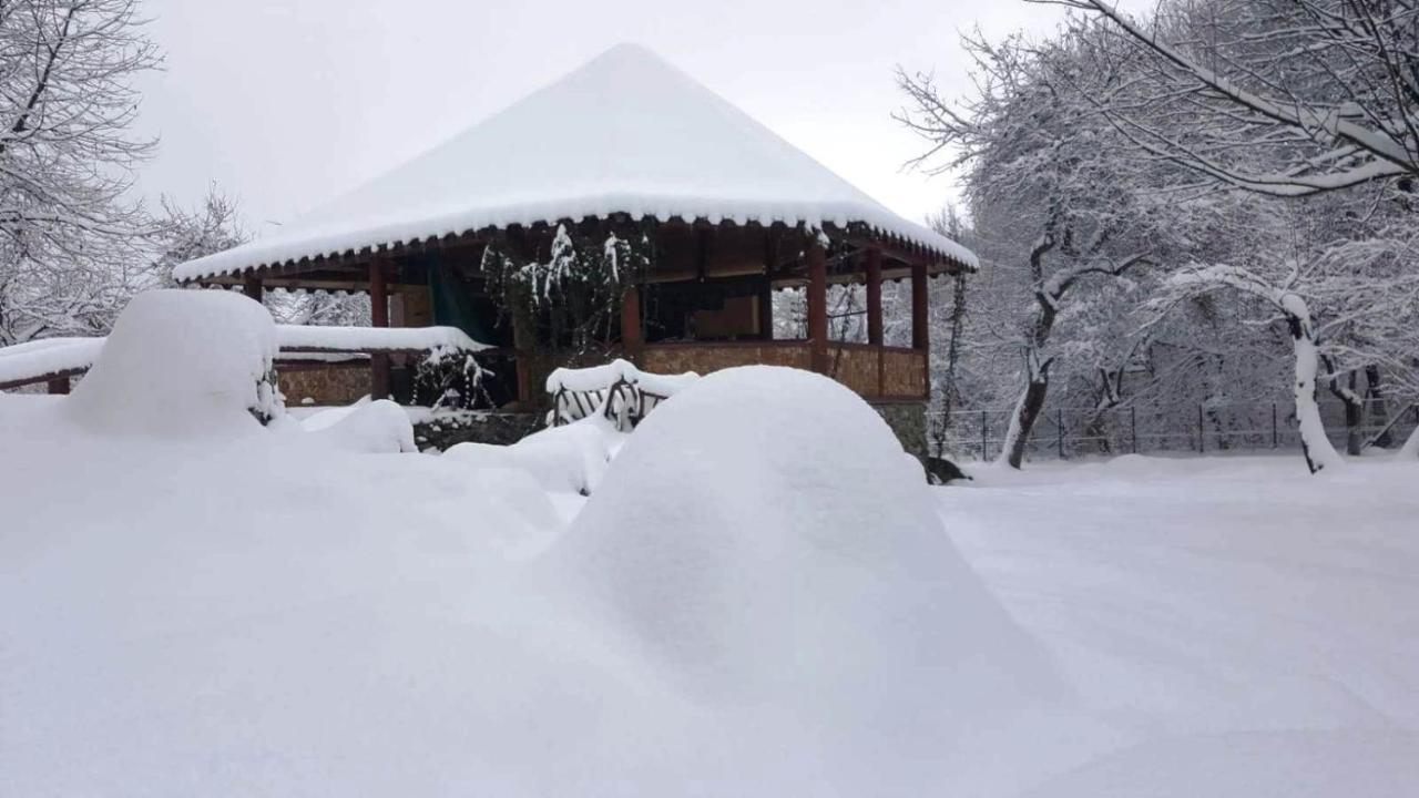 Casa Bunicului Villa Vistisoara ภายนอก รูปภาพ