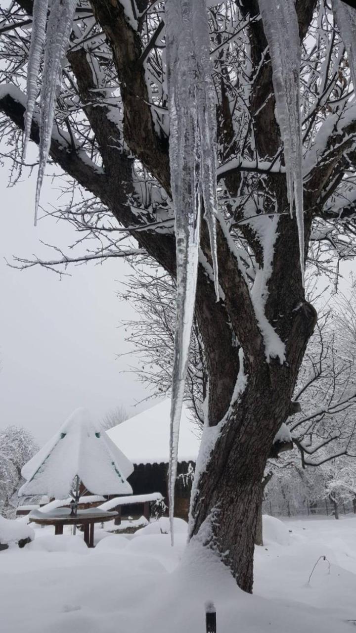 Casa Bunicului Villa Vistisoara ภายนอก รูปภาพ