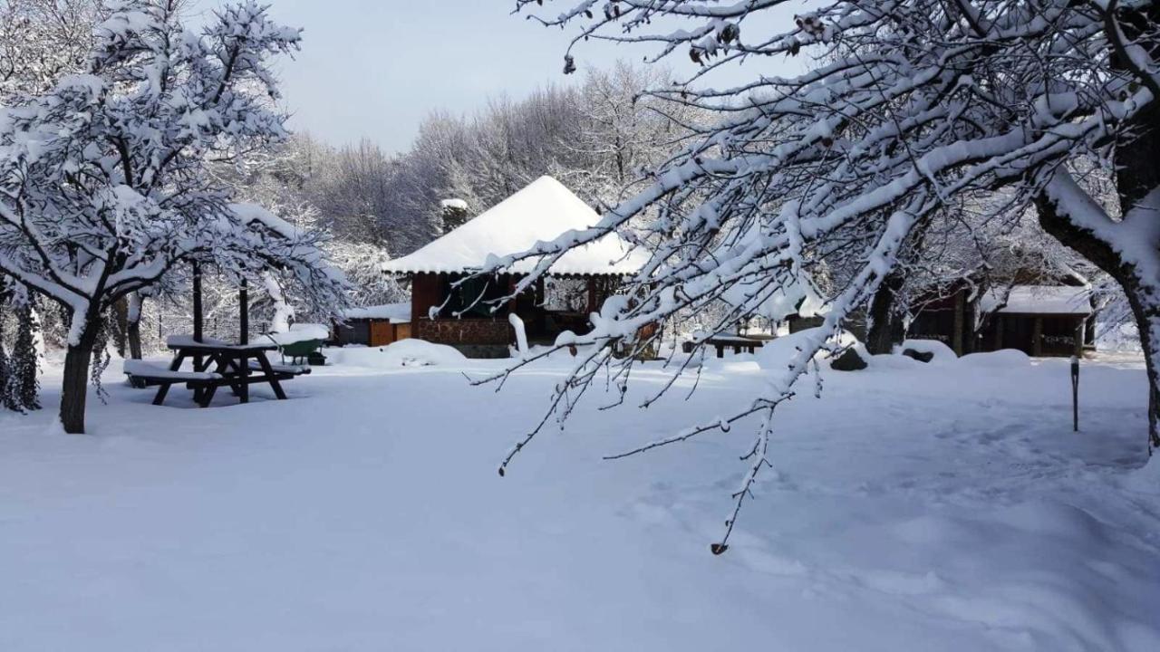 Casa Bunicului Villa Vistisoara ภายนอก รูปภาพ